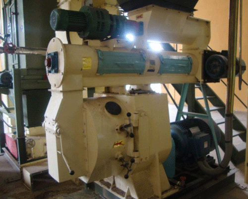 Feed Pellet Plant